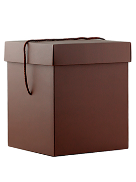 Caja Cuadrada para Panettone Marrón 22 X 22 X 26,5 cm