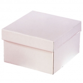 Caja para Tarta Extra Gruesa con Tapa 25 x 25 x 15 cm