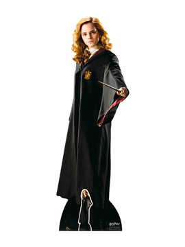 Decoración Photocall Hermione Granger 165 cm