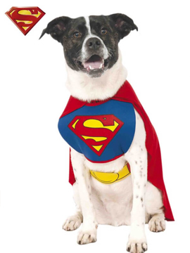 Disfraz Superman para Perro