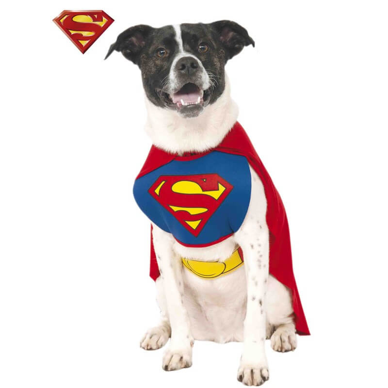 Disfraz Superman para Perro