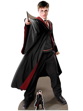Decoración Photocall Harry Potter Capitán Quidditch 170 cm
