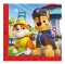 Juego de 20 servilletas Patrulla Canina Modelo B