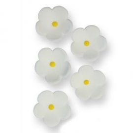 Juego de 30 flores blancas de azúcar PME