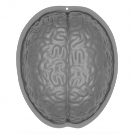 Molde Plástico Cerebro 25 cm