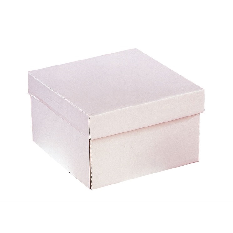 Pack 5 Cajas para tartas 25 x 25 x 15 cm