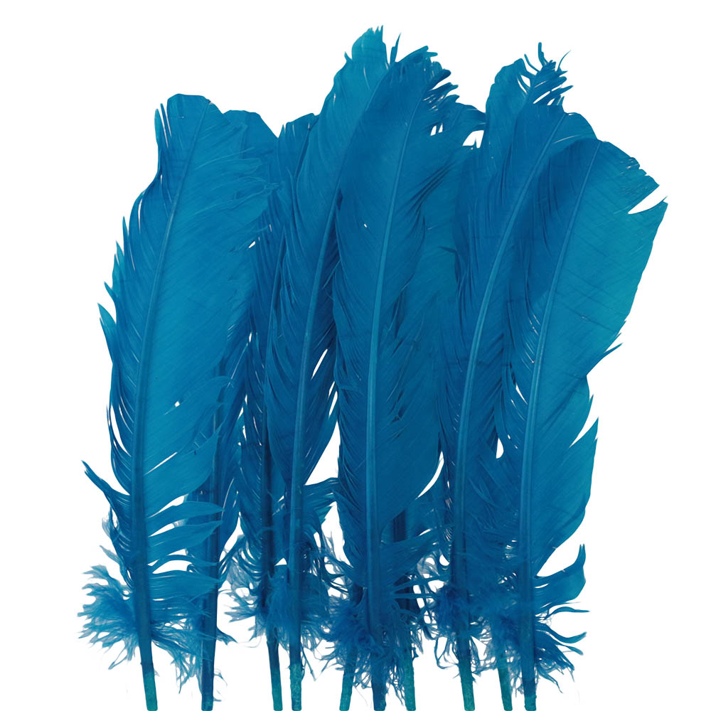 Juego de 10 Plumas Azules 20 cm