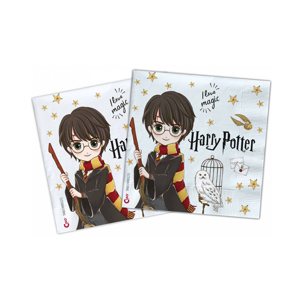 Servilletas de Papel Harry Potter 20 ud