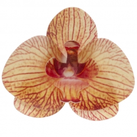 Set de 10 Orquídeas de Oblea Amarillas 8 cm