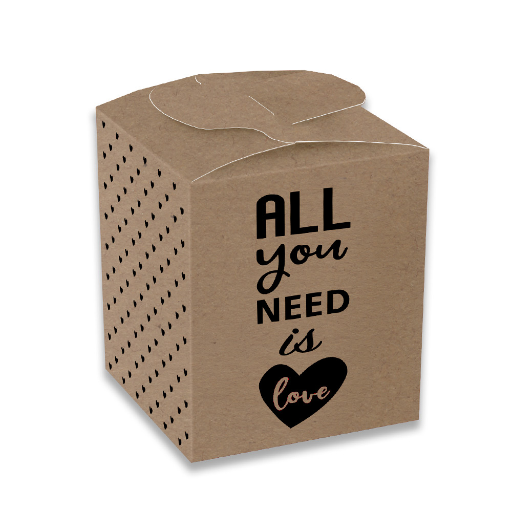Set de 12 Cajas para Dulces All You Need is Love Kraft​​​​​​​