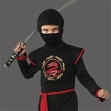 Ninjas y Samuráis